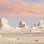 sdesert oasis